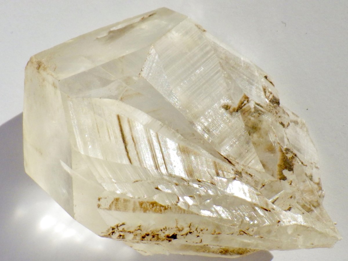 画像2: カナダ産ジプサムＣ (2)