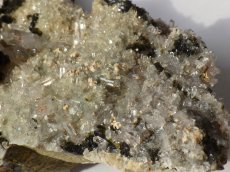 画像7: 中国産エピドート／水晶 (7)