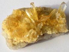 画像5: オレンジジプサムＤ (5)