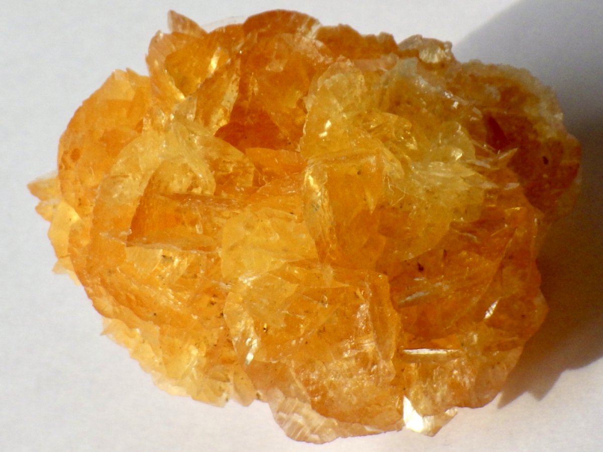 画像3: オレンジジプサムＢ (3)