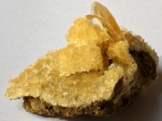 画像4: オレンジジプサムＣ (4)