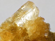 画像7: オレンジジプサムＣ (7)