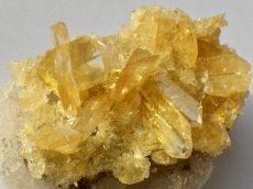 画像3: オレンジジプサムＤ (3)