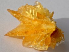 画像4: オレンジジプサムＡ (4)