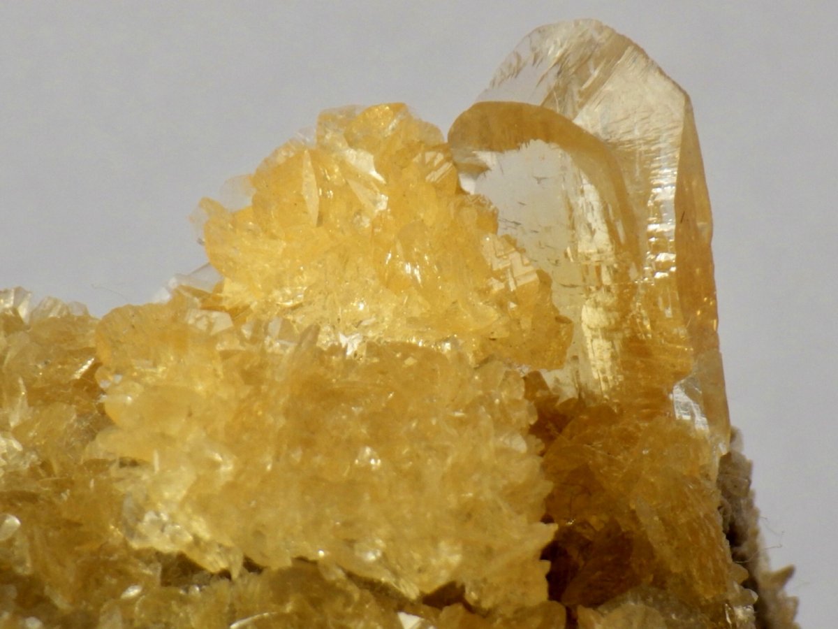 画像1: オレンジジプサムＣ (1)