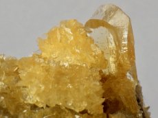 画像1: オレンジジプサムＣ (1)