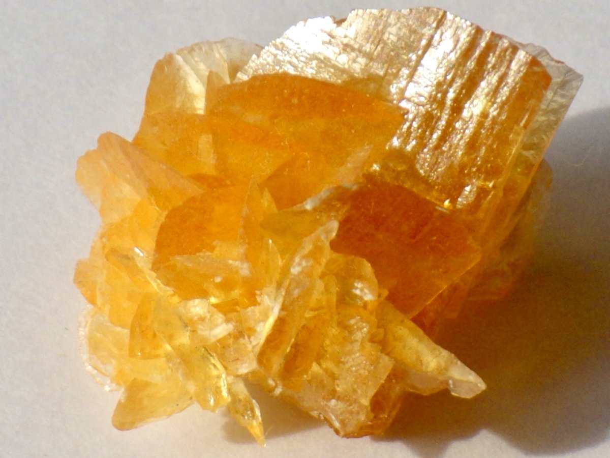 画像1: オレンジジプサムＡ (1)