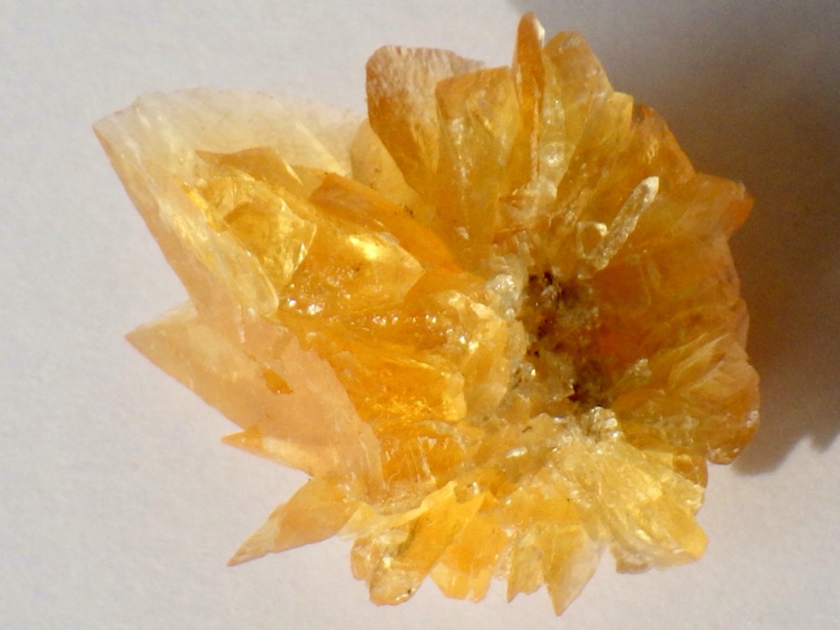 画像5: オレンジジプサムＡ (5)