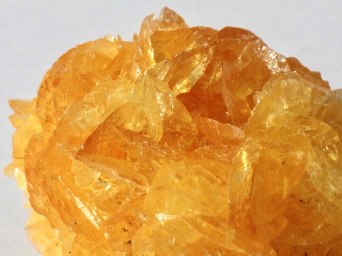 画像4: オレンジジプサムＢ (4)