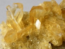 画像1: オレンジジプサムＤ (1)