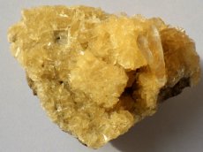 画像6: オレンジジプサムＣ (6)