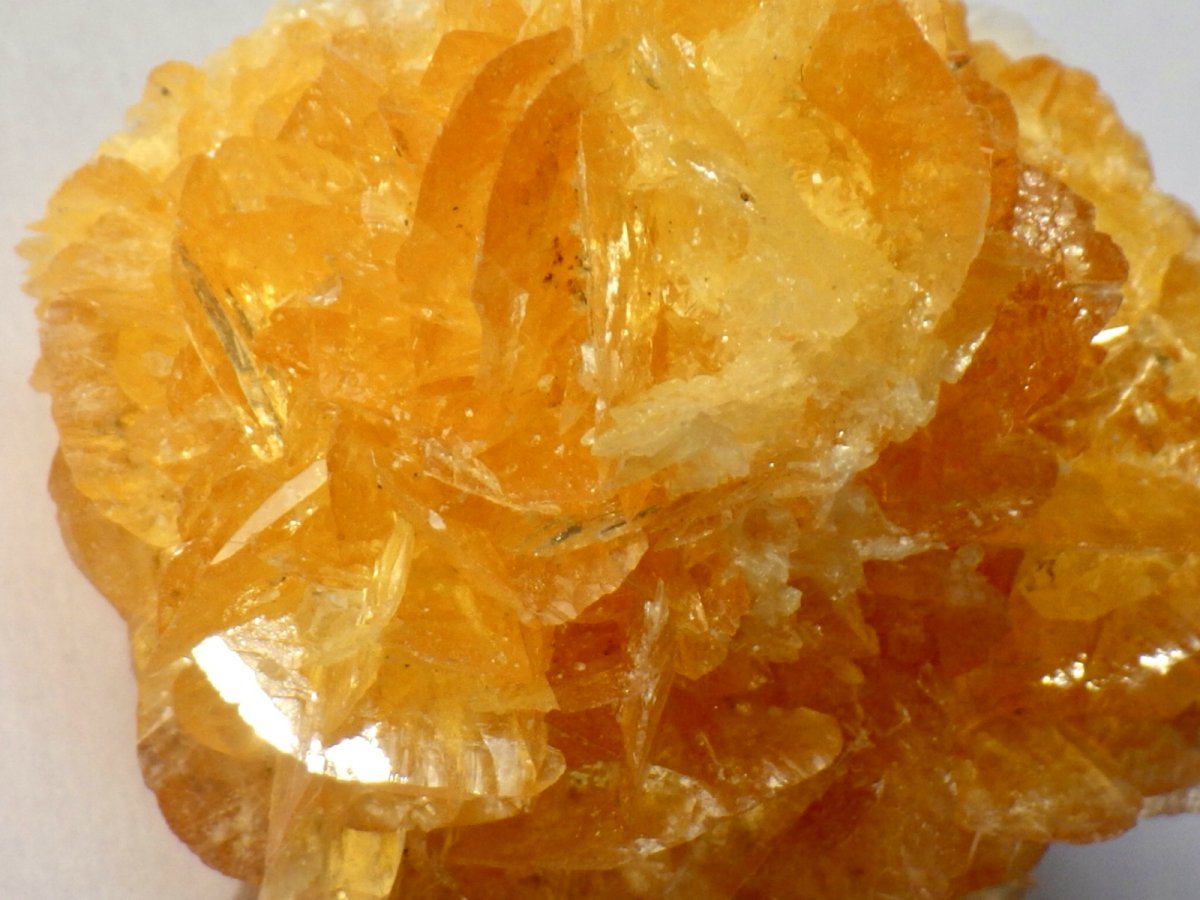 画像7: オレンジジプサムＢ (7)