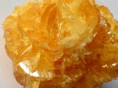 画像7: オレンジジプサムＢ (7)