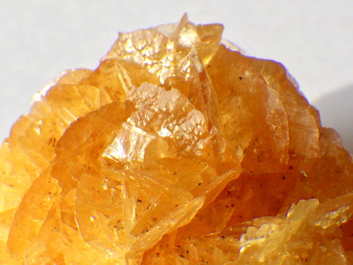 画像1: オレンジジプサムＢ (1)