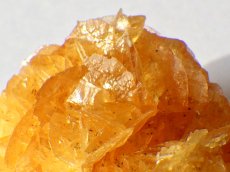 画像1: オレンジジプサムＢ (1)