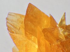 画像5: オレンジジプサムＢ (5)