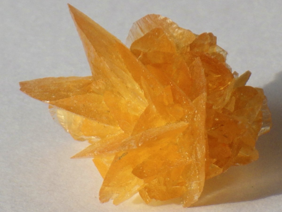 画像2: オレンジジプサムＡ (2)