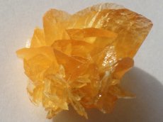 画像3: オレンジジプサムＡ (3)