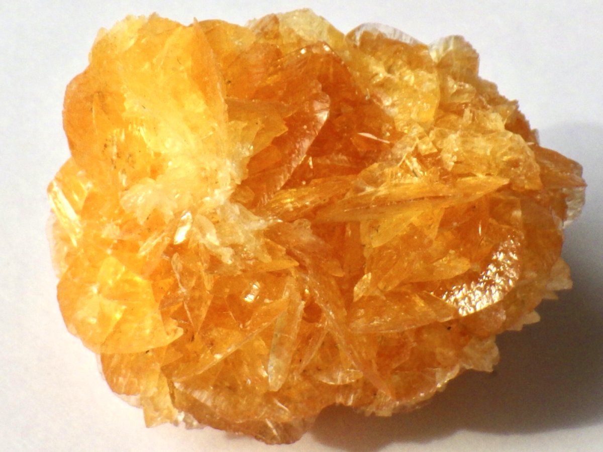 画像6: オレンジジプサムＢ (6)