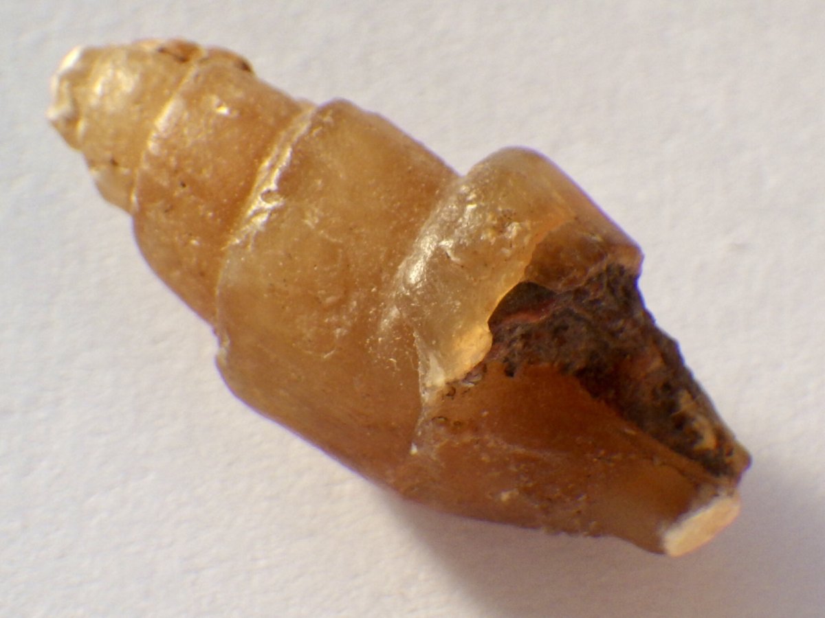 画像1: アゲート化モロッコ産巻貝Ａ (1)