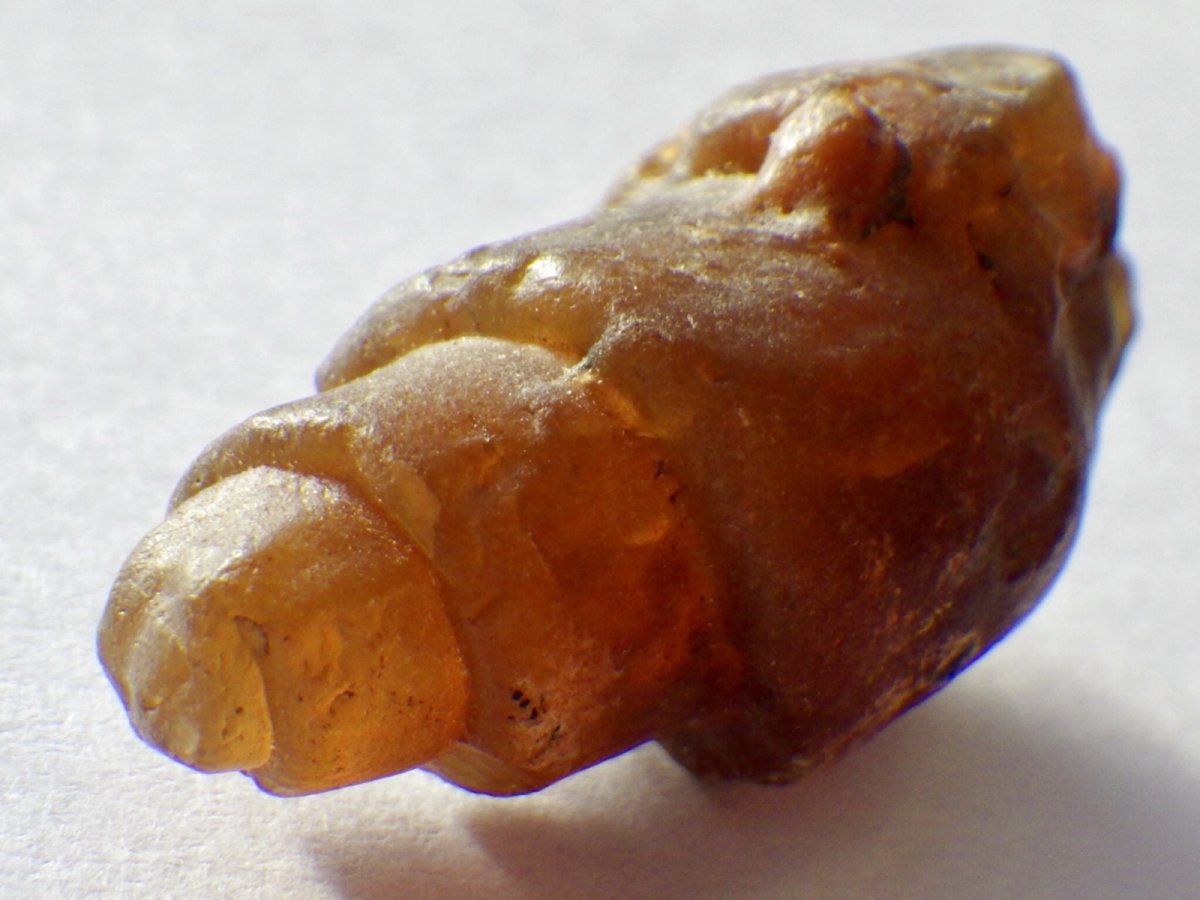 画像5: アゲート化モロッコ産巻貝Ｂ (5)