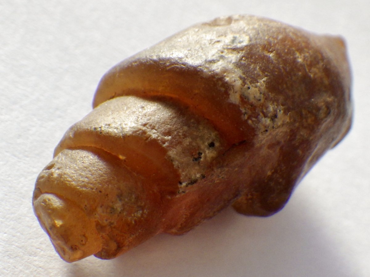 画像1: アゲート化モロッコ産巻貝Ｂ (1)