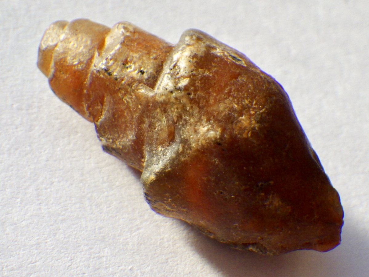 画像3: アゲート化モロッコ産巻貝Ｂ (3)