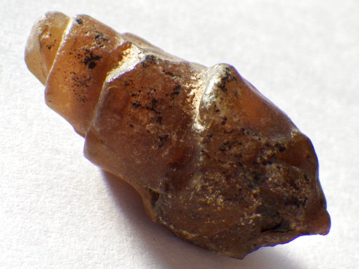 画像4: アゲート化モロッコ産巻貝Ｂ (4)