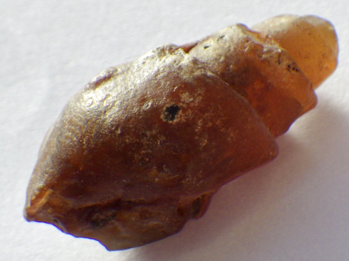 画像2: アゲート化モロッコ産巻貝Ｂ (2)