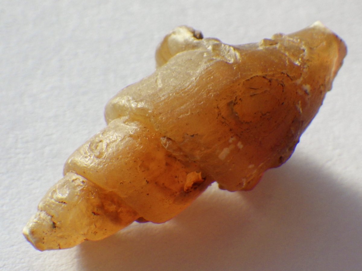 画像4: アゲート化モロッコ産巻貝Ａ (4)