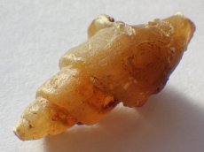 画像4: アゲート化モロッコ産巻貝Ａ (4)