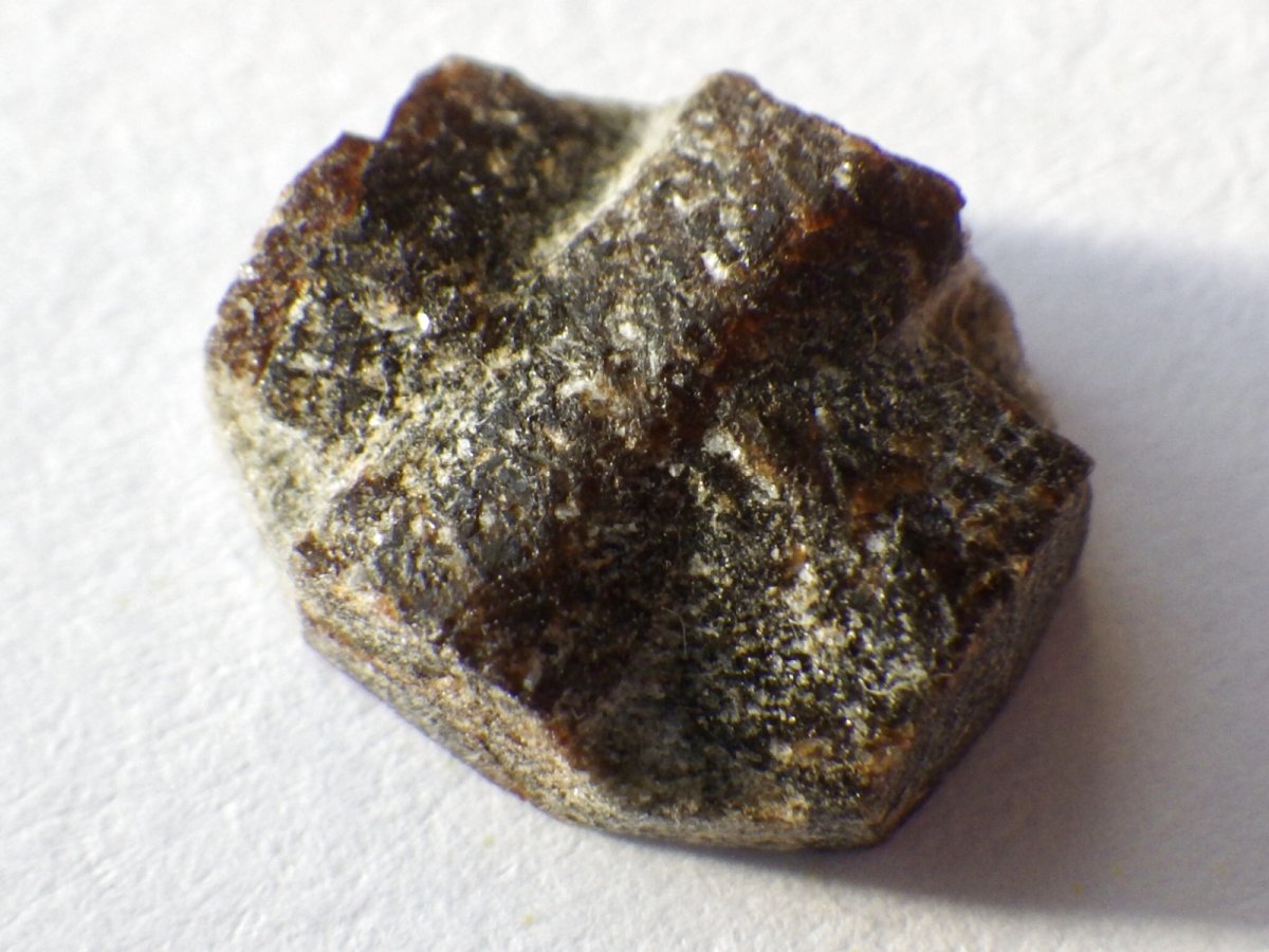 画像3: ミニスタウロライトＣ (3)