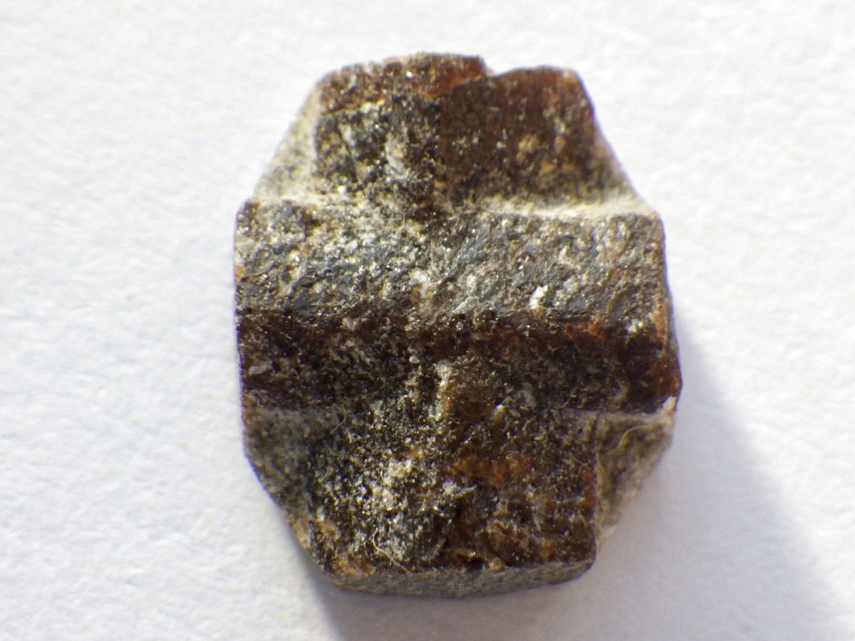 画像4: ミニスタウロライトＣ (4)