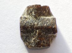 画像4: ミニスタウロライトＣ (4)