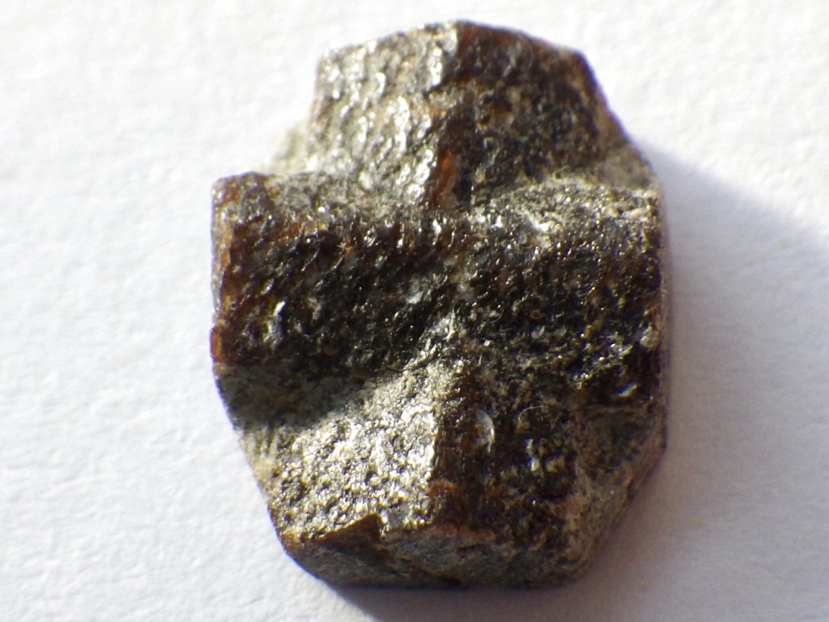 画像1: ミニスタウロライトＣ (1)