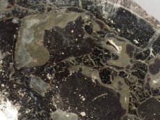画像2: アパトサウルス骨化石スライスＤ (2)