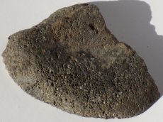 画像3: アパトサウルス骨化石スライスＢ (3)