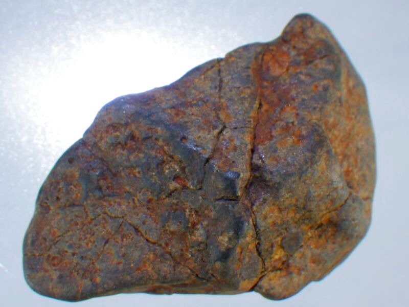 アリゾナ産Ｌ４コンドライト隕石Ａ - セルフクリエイション