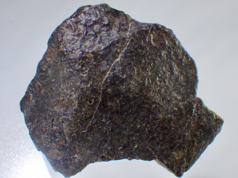 オマーン産コンドライト隕石Ａ - セルフクリエイション