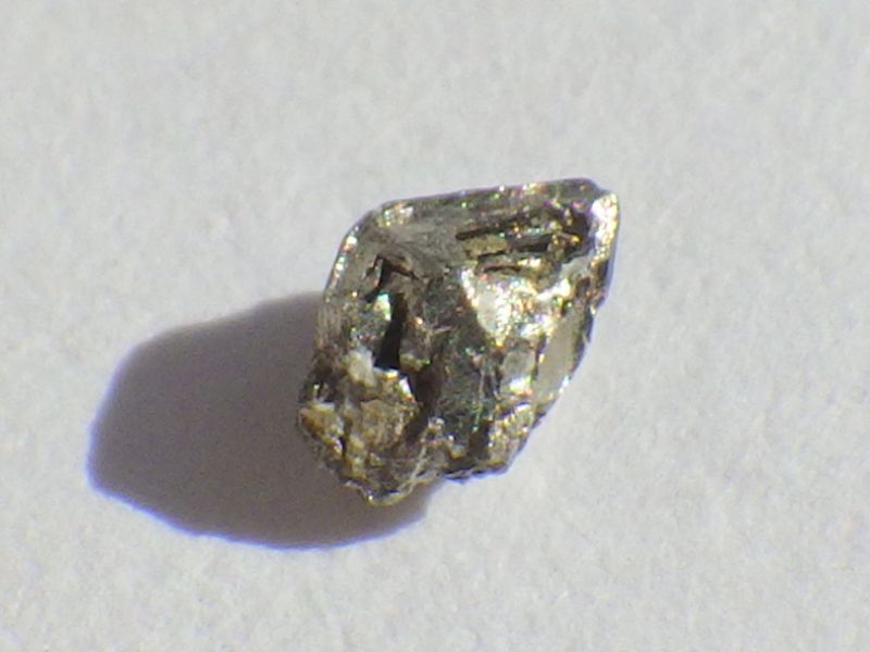 画像1: フィジー産テルリウムＢ (1)