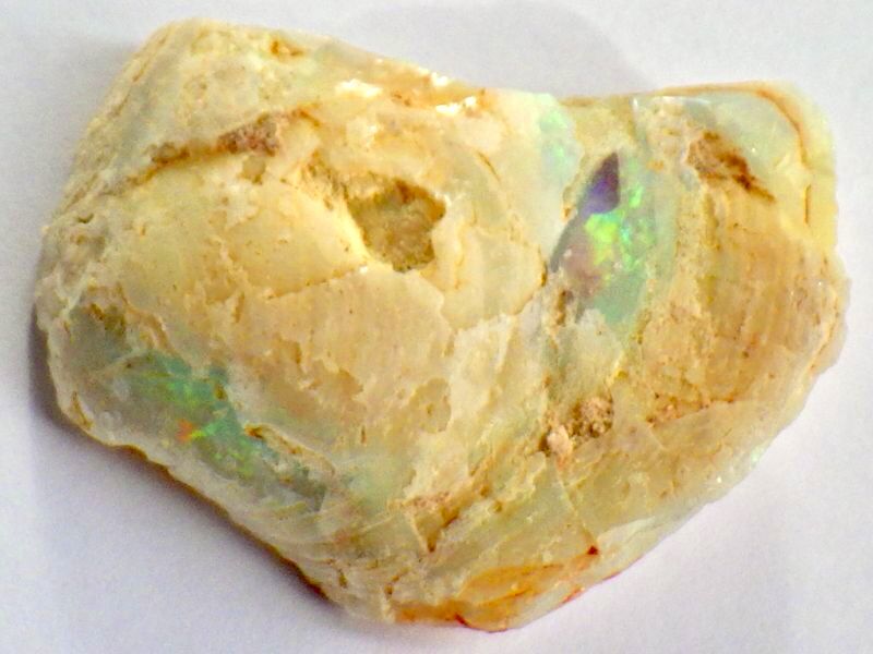画像1: ライトニングリッジ産オパール化貝化石Ｃ (1)